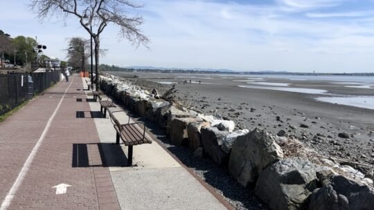 https://www.surreynewsbc.com/wp-content/uploads/2024/04/234996F8-95B6-4034-ABF6-B0A2CF07E6B5-540x304.jpeg