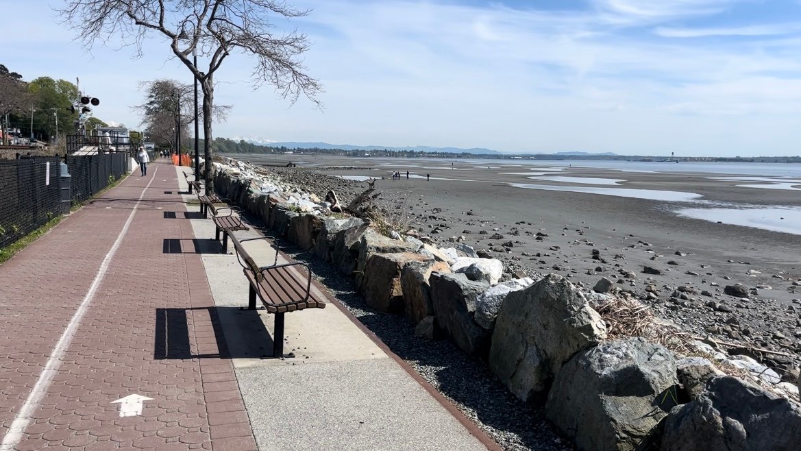 https://www.surreynewsbc.com/wp-content/uploads/2024/04/234996F8-95B6-4034-ABF6-B0A2CF07E6B5.jpeg