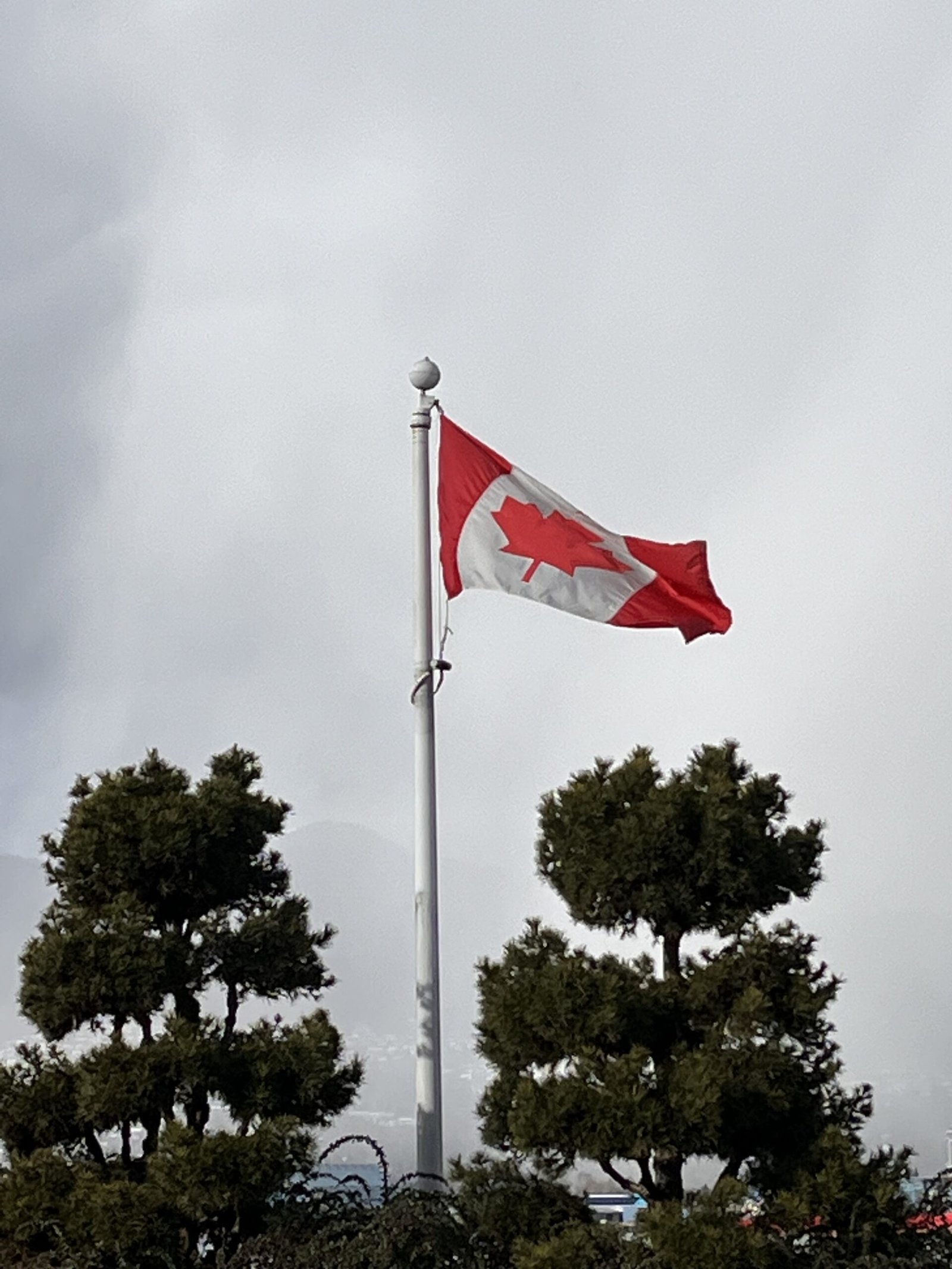 https://www.surreynewsbc.com/wp-content/uploads/2024/05/64BB8A09-ED66-45AB-9FF7-7B3301196C74-scaled.jpeg