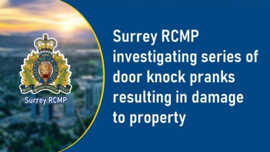 https://www.surreynewsbc.com/wp-content/uploads/2024/07/8E3D7F5E-391B-4FC4-BDD7-0FF88A564DD9-540x304.jpeg