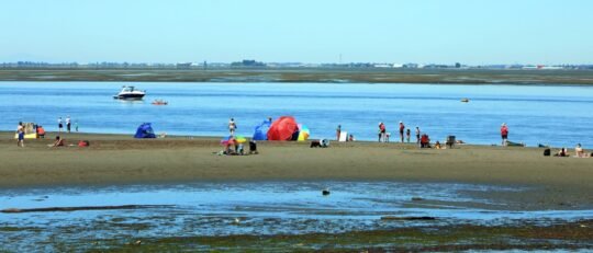 https://www.surreynewsbc.com/wp-content/uploads/2024/07/C971429C-28F1-4F14-8689-7A25E1063538-540x231.jpeg