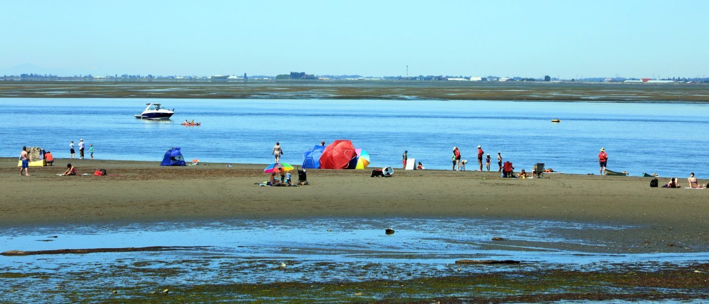 https://www.surreynewsbc.com/wp-content/uploads/2024/07/C971429C-28F1-4F14-8689-7A25E1063538.jpeg