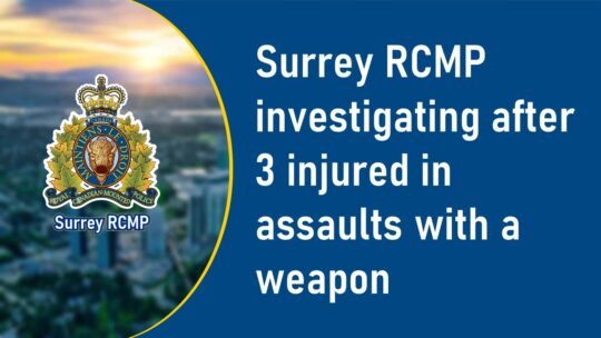 https://www.surreynewsbc.com/wp-content/uploads/2024/08/AA8E94D6-9FCC-446F-B298-C947CCFA935B-540x304.jpeg