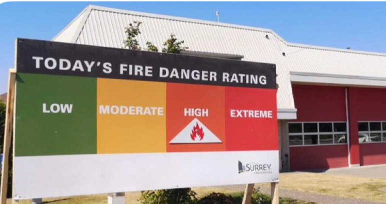 https://www.surreynewsbc.com/wp-content/uploads/2024/08/C9ECAE78-1C72-48B6-86F3-CF3CD29D998B.jpeg