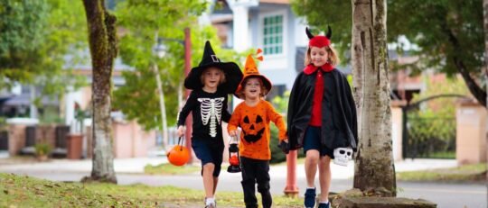 https://www.surreynewsbc.com/wp-content/uploads/2024/10/091198F8-2E3B-478B-8EA7-3029E338D88F-540x231.jpeg