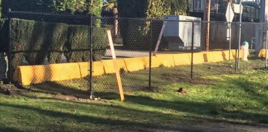 https://www.surreynewsbc.com/wp-content/uploads/2025/01/IMG_9174.jpeg