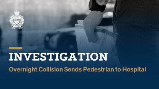 https://www.surreynewsbc.com/wp-content/uploads/2025/02/IMG_9240-540x304.jpeg