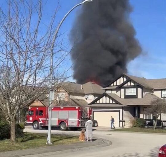 https://www.surreynewsbc.com/wp-content/uploads/2025/02/IMG_9410-540x509.jpeg