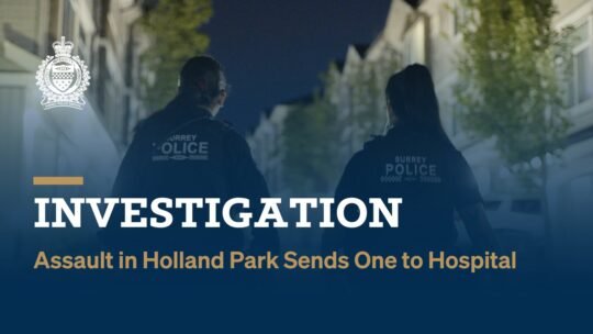https://www.surreynewsbc.com/wp-content/uploads/2025/03/IMG_9454-540x304.jpeg