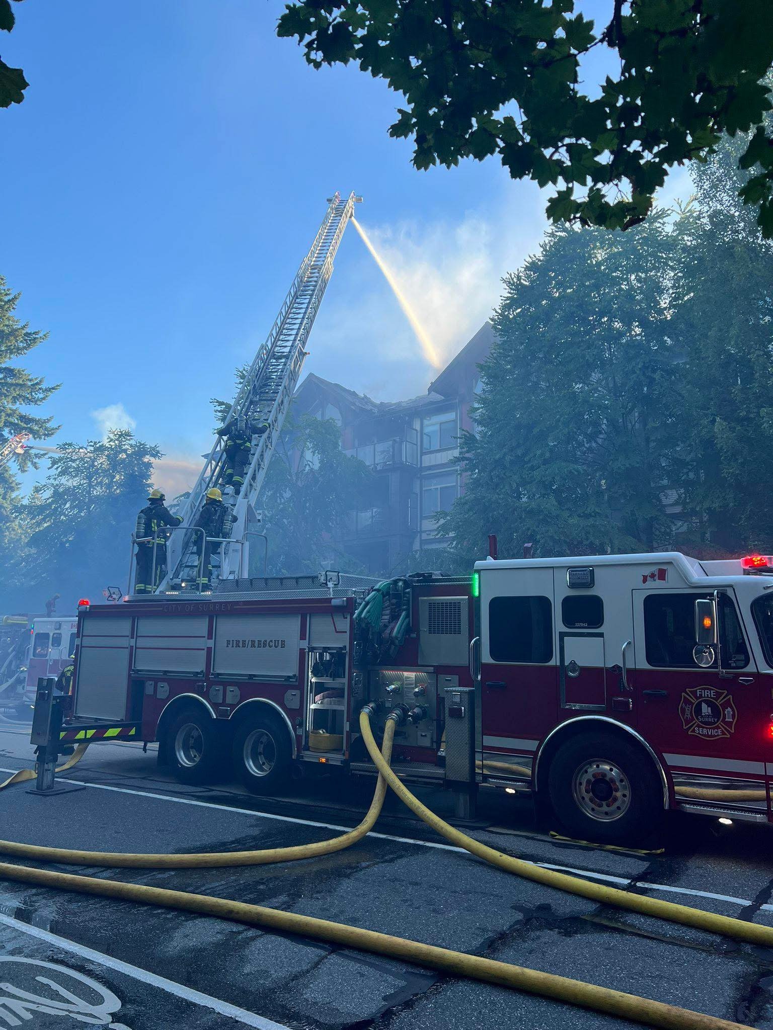 https://www.surreynewsbc.com/wp-content/uploads/2025/07/IMG_1401.jpeg