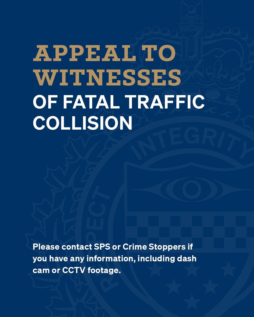 https://www.surreynewsbc.com/wp-content/uploads/2025/08/IMG_1674.jpeg