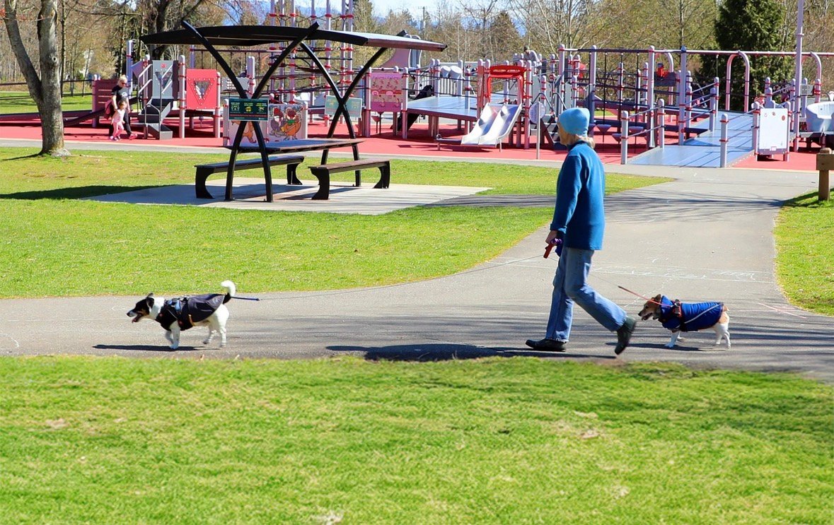 https://www.surreynewsbc.com/wp-content/uploads/2025/11/IMG_2899.jpeg