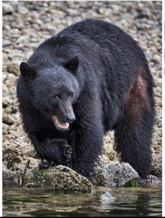 https://www.surreynewsbc.com/wp-content/uploads/2025/11/IMG_3008.jpeg