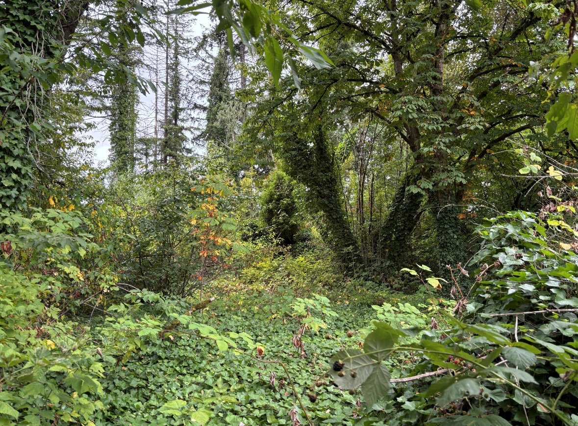 https://www.surreynewsbc.com/wp-content/uploads/2026/07/IMG_4800.jpeg